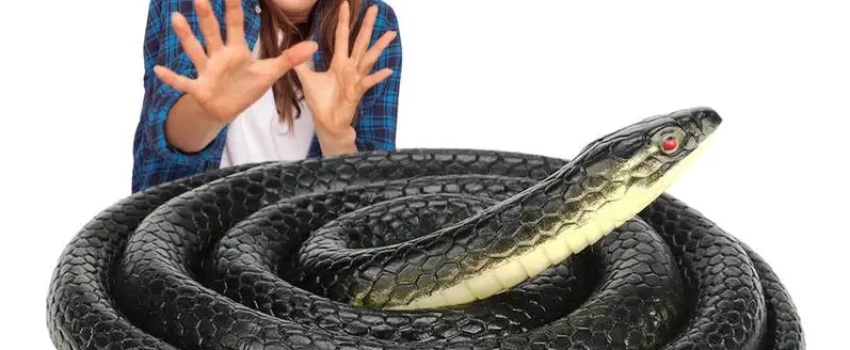 Post Thumbnail